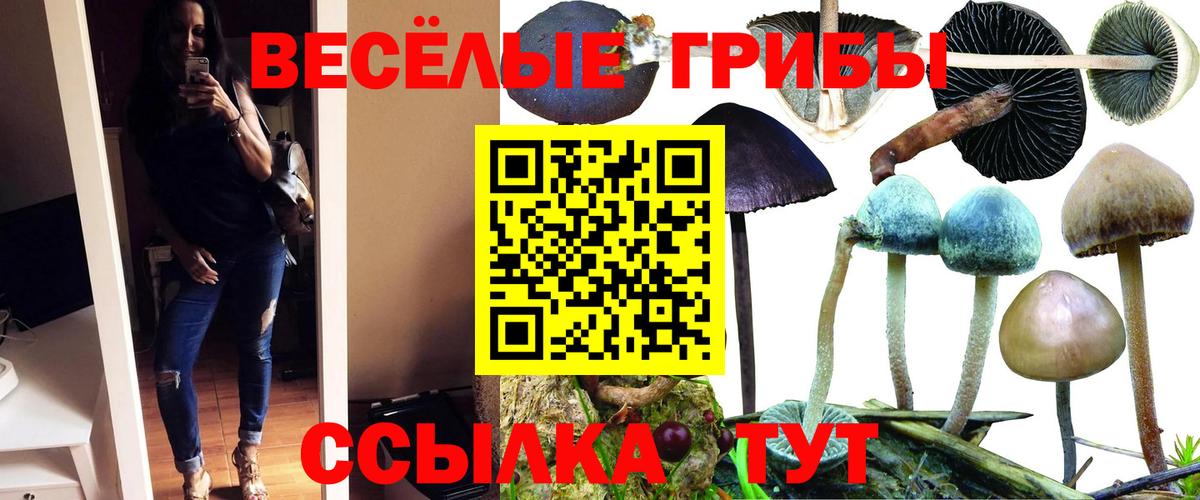 Донской  Псилоцибиновые грибы мицелий  Вход с VPN  Галлюциногенные грибы Psilocybine cubensis 