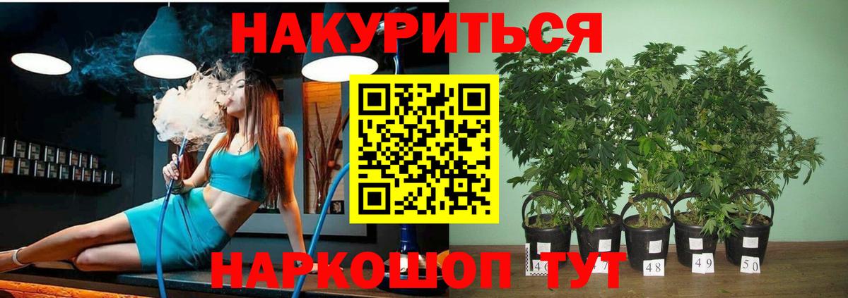 Каннабис сатива Донской